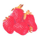 berry also